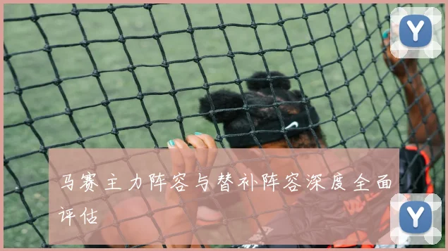 马赛主力阵容与替补阵容深度全面评估