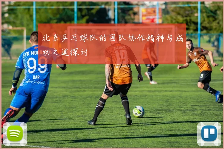 北京乒乓球队的团队协作精神与成功之道探讨
