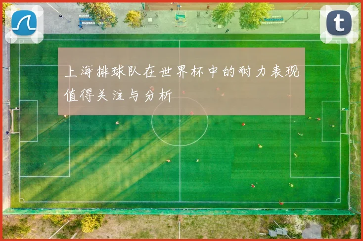 上海排球队在世界杯中的耐力表现值得关注与分析