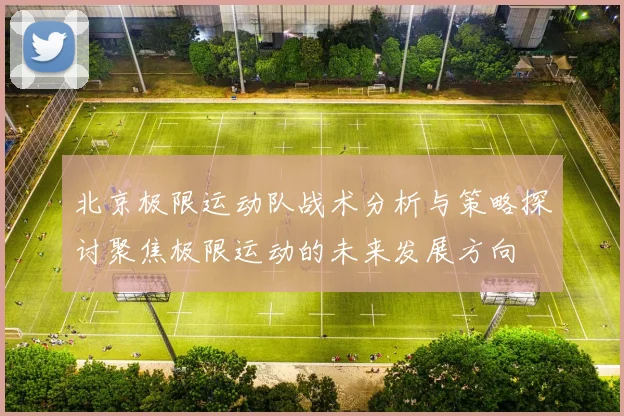 北京极限运动队战术分析与策略探讨聚焦极限运动的未来发展方向